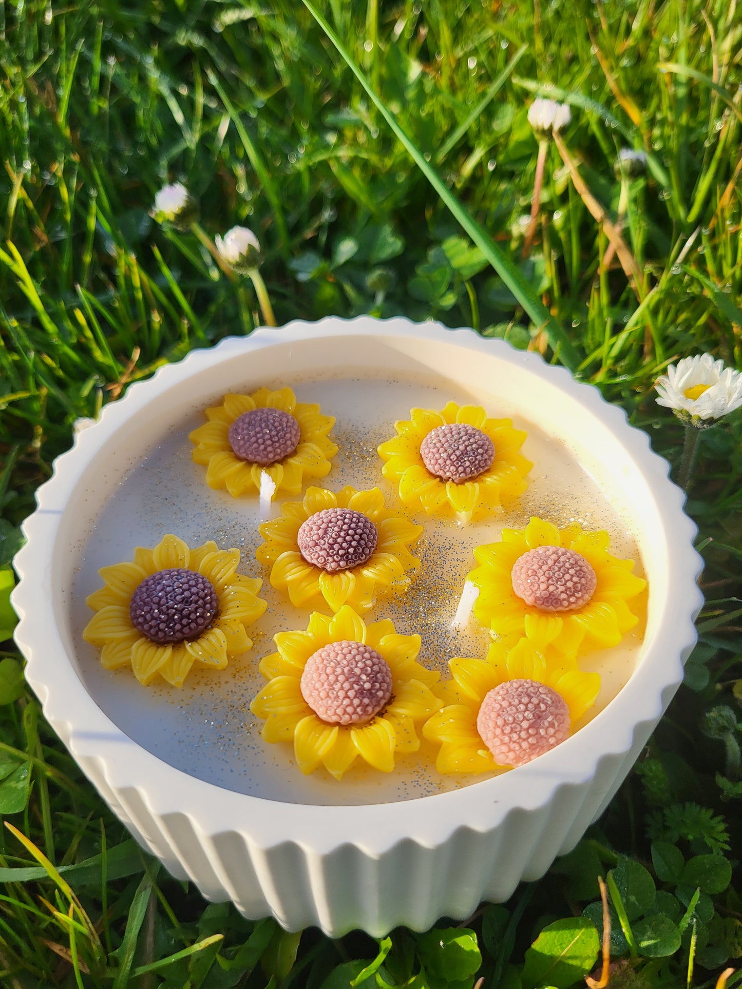 Champ de tournesols