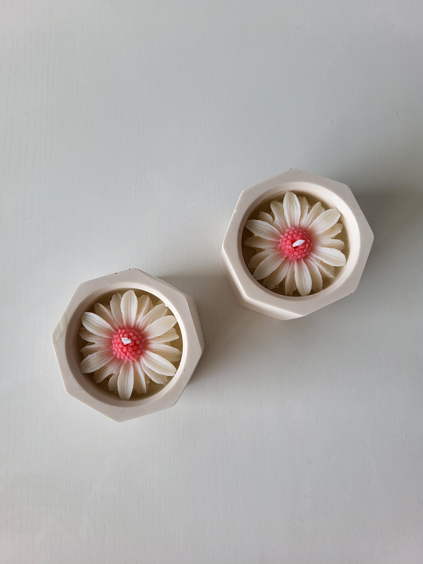 Petite marguerite