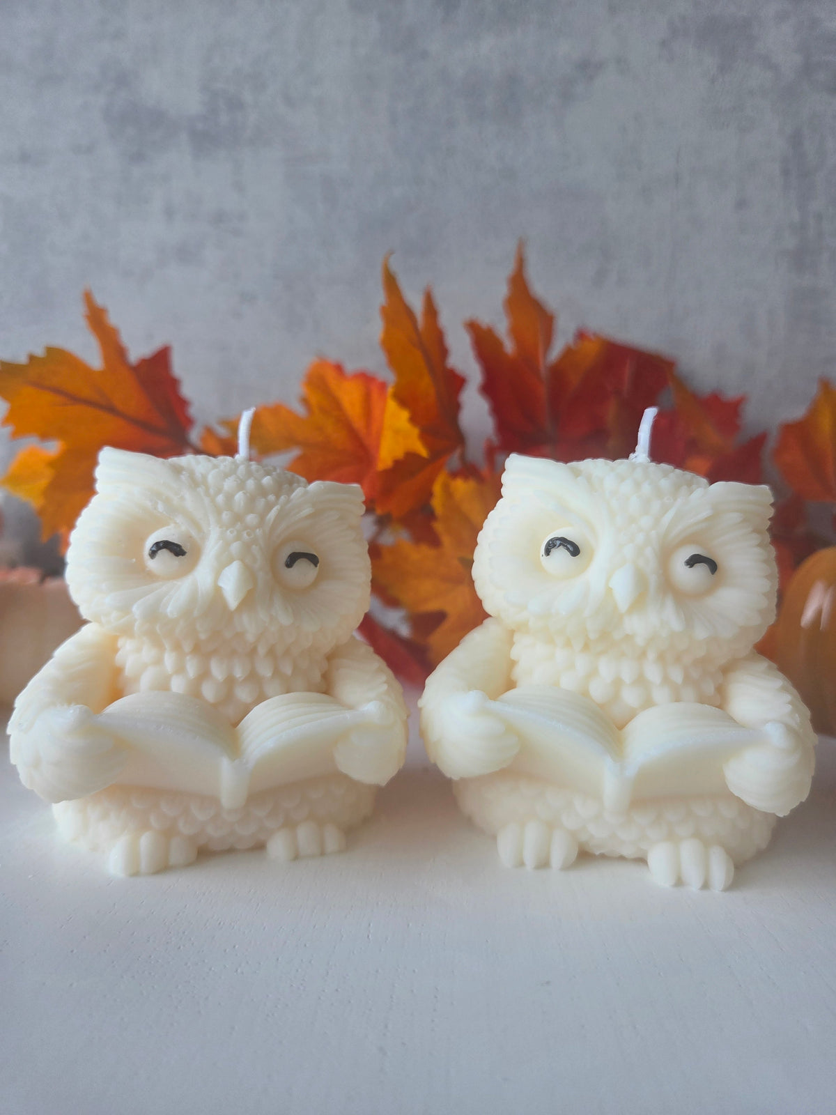Hibou lecteur