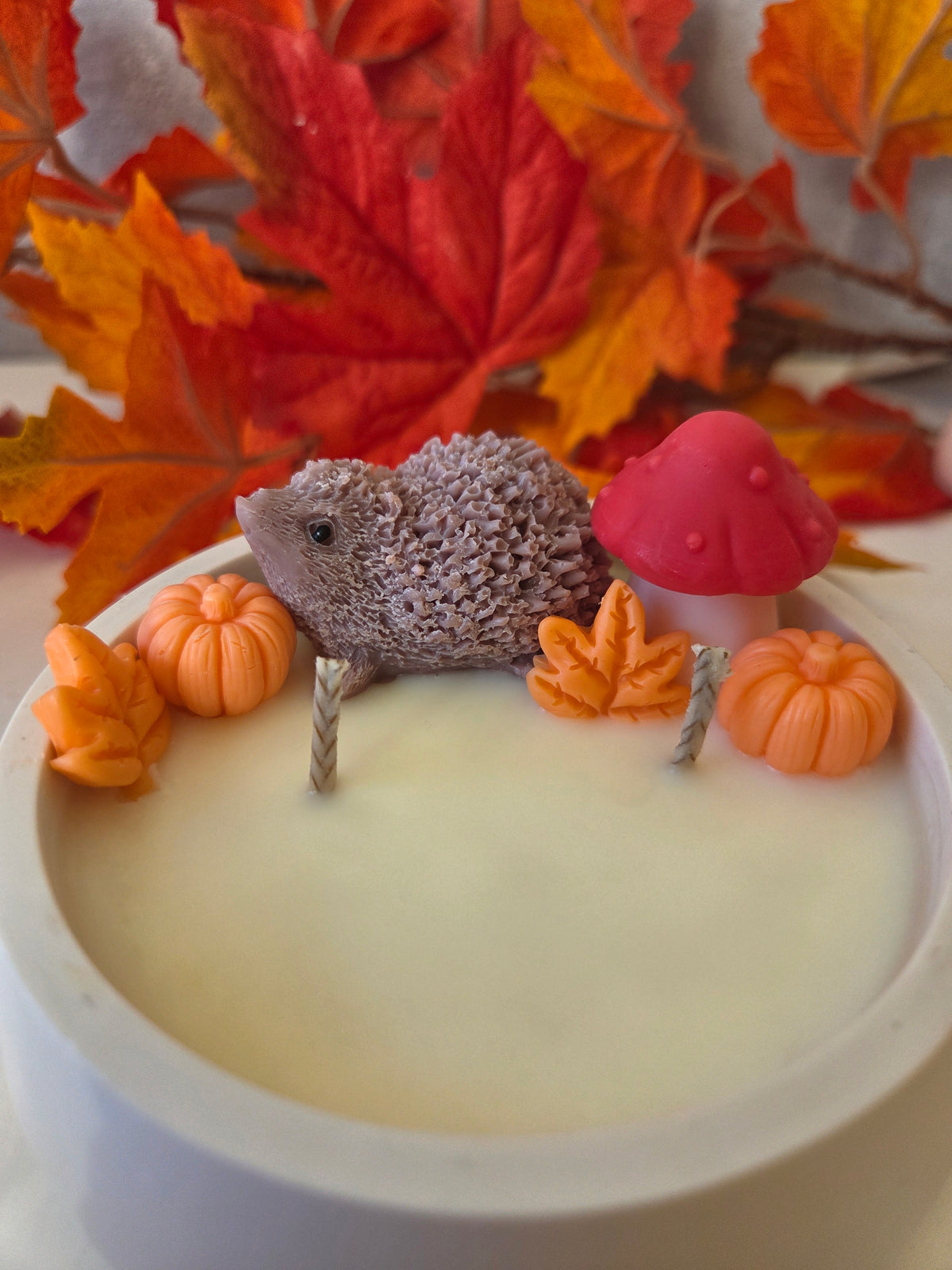 Balade d'automne