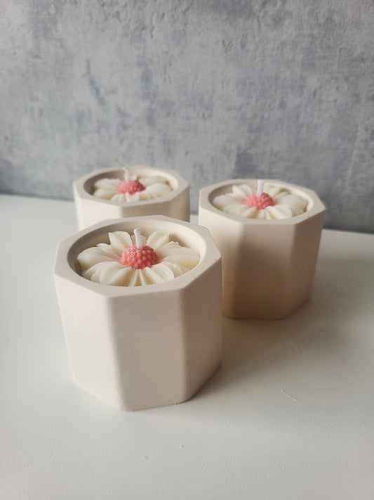 Petite marguerite