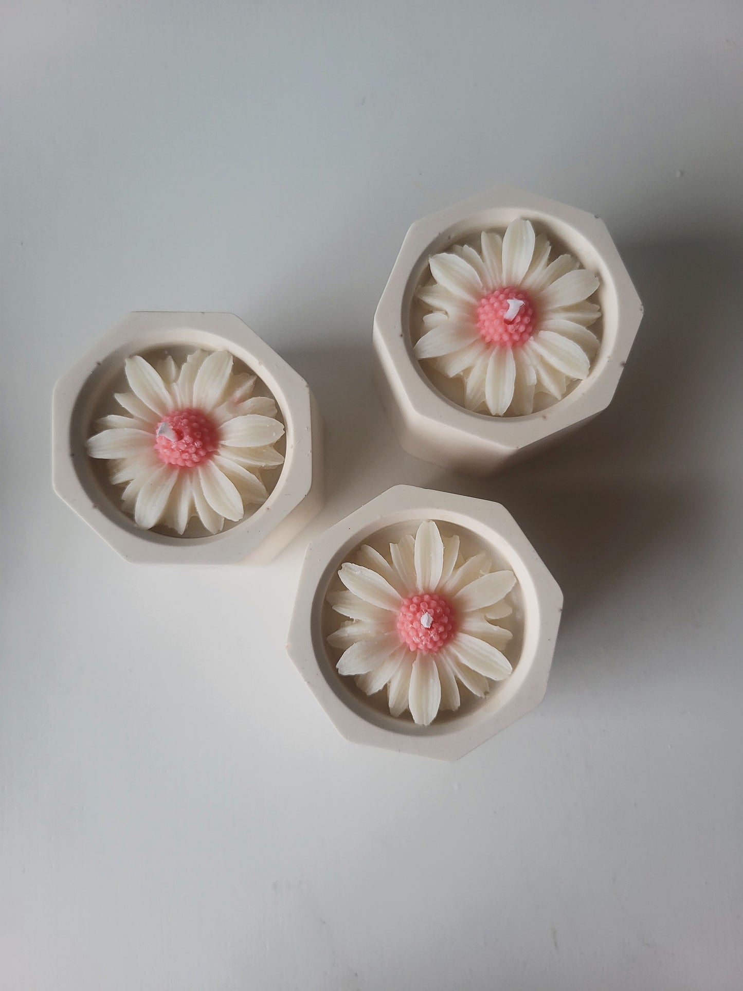 Petite marguerite