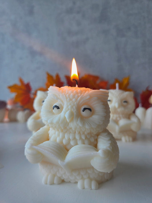 Hibou lecteur