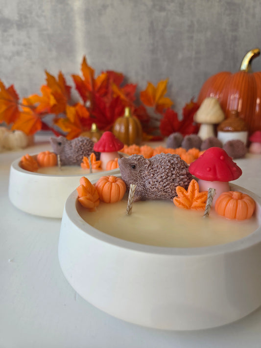 Balade d'automne