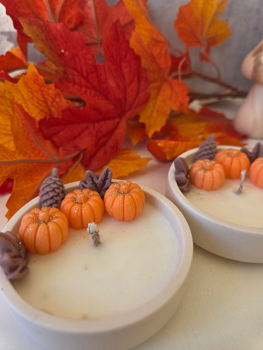 Douceur d'automne