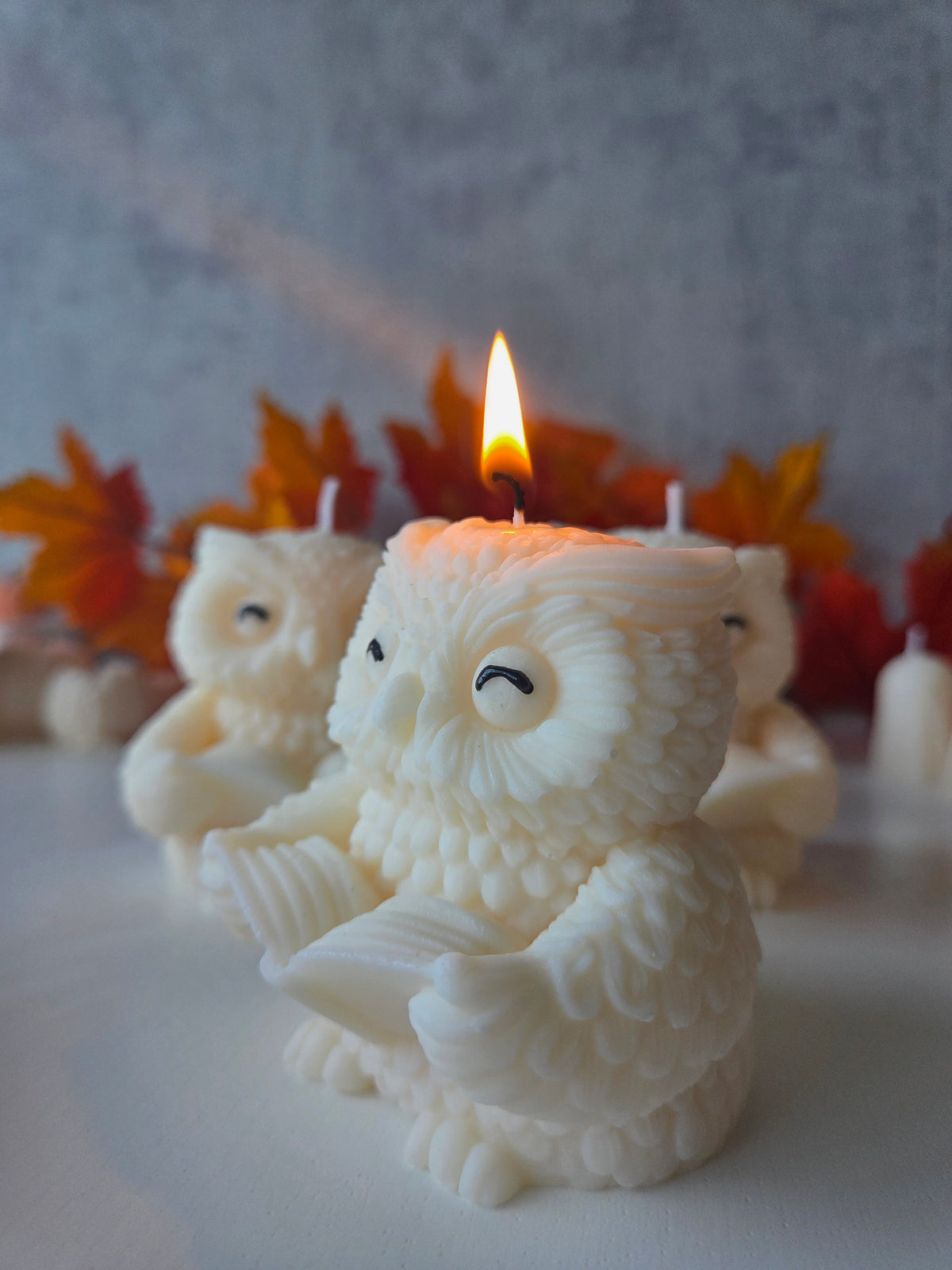 Hibou lecteur