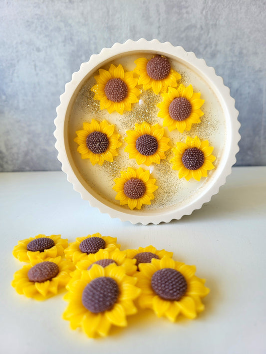 Champ de tournesols
