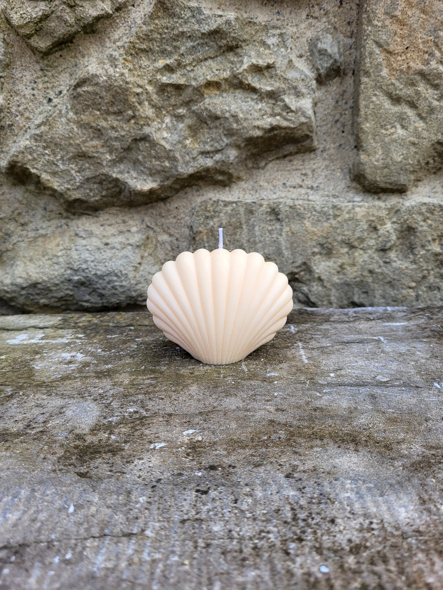 Shell