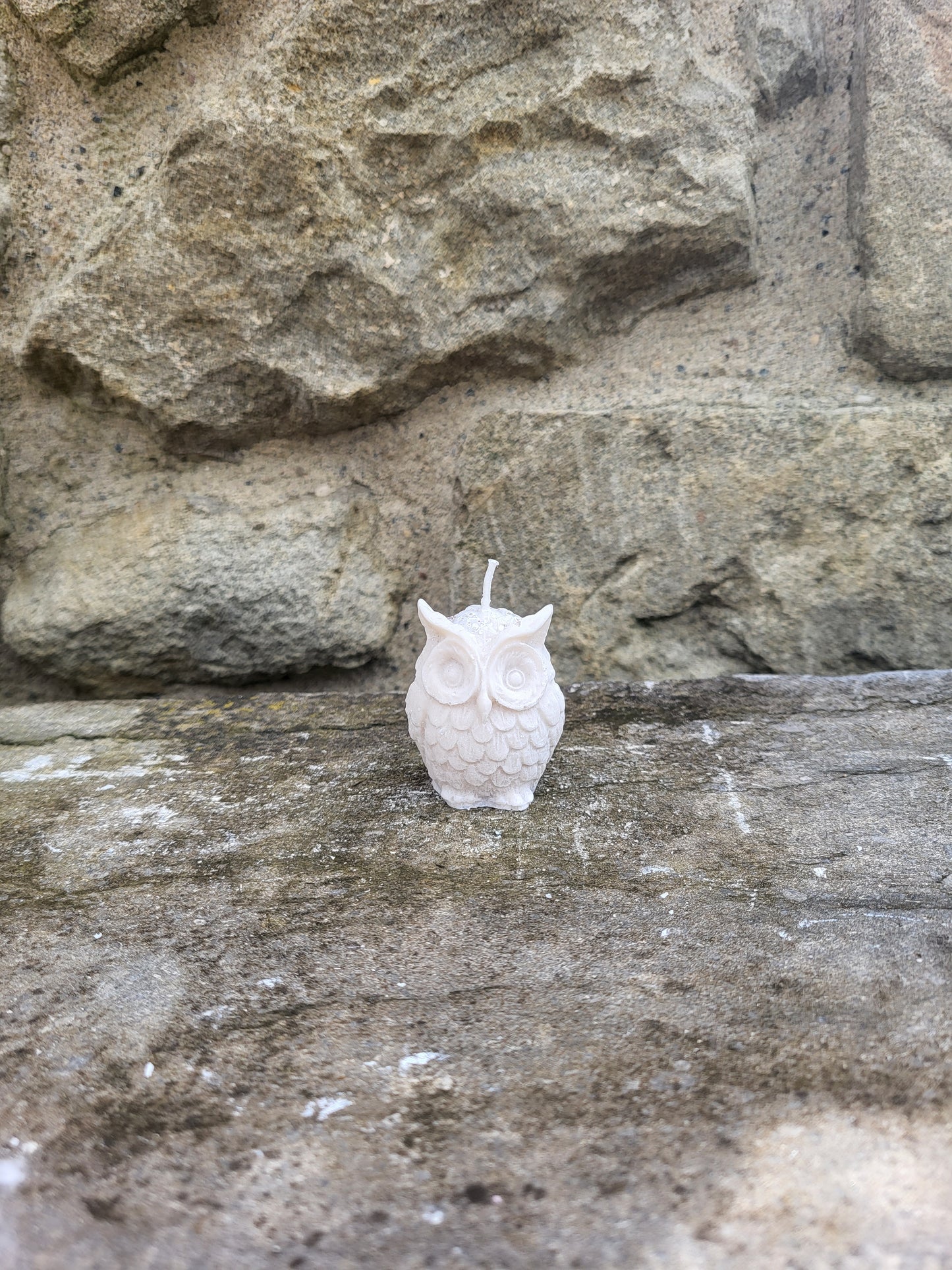 Owl small